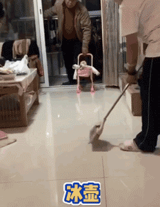 微信图片_20200228093639.gif