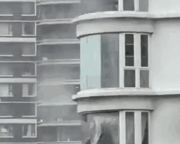 微信图片_20200811092945.gif