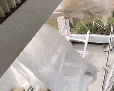 微信图片_20200811092948.gif