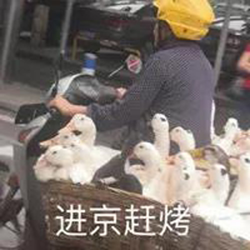 微信图片_20200820093601.jpg