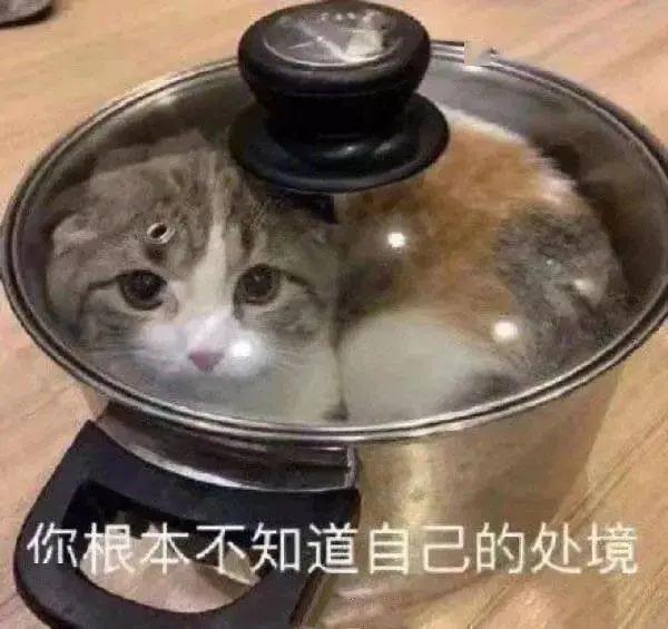 微信图片_20210809093153.jpg